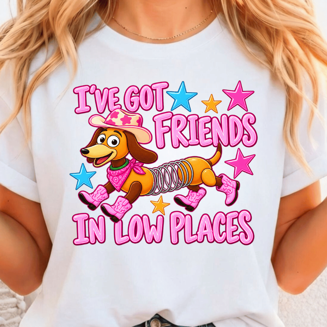 I've Got Friends In Low Places - Adult Size - Full Color DTF T-Shirt Transfer - 610