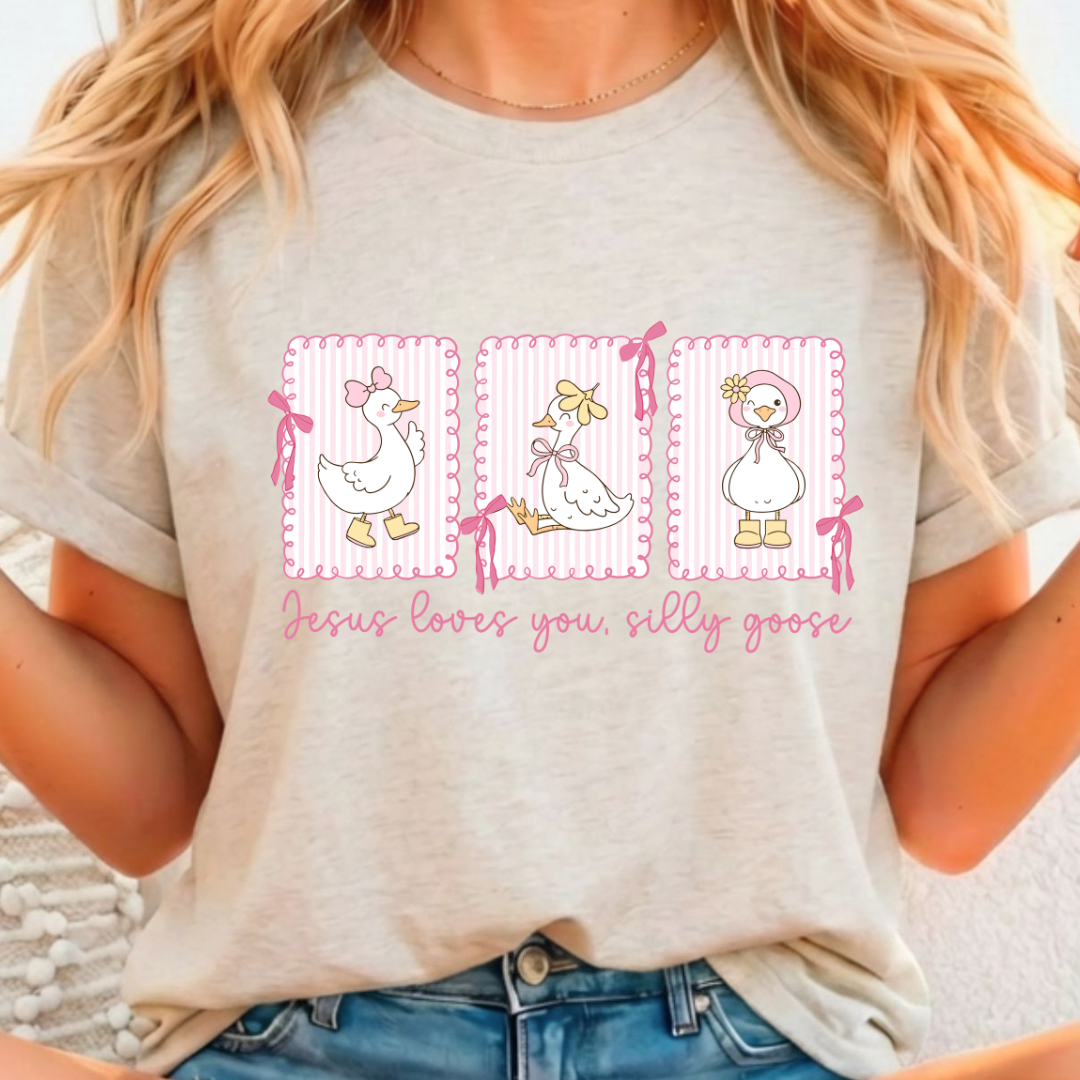 Jesus Loves You Silly Goose - Full Color DTF T-Shirt Transfer - 505