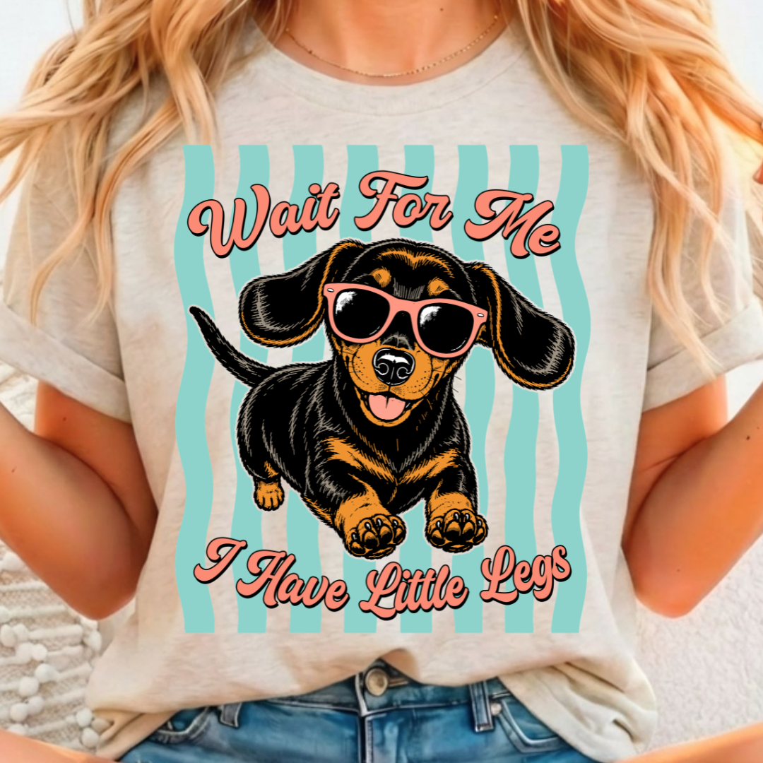 Little Legs - Full Color DTF T-Shirt Transfer - 10